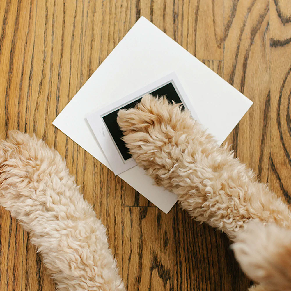 Κορνίζα Αποτύπωμα Pearhead Best Friends Forever PH-74010 φωτογραφία