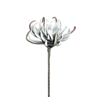 Διακοσμητικό Λουλούδι 82εκ. Marhome 00-00-1530-6