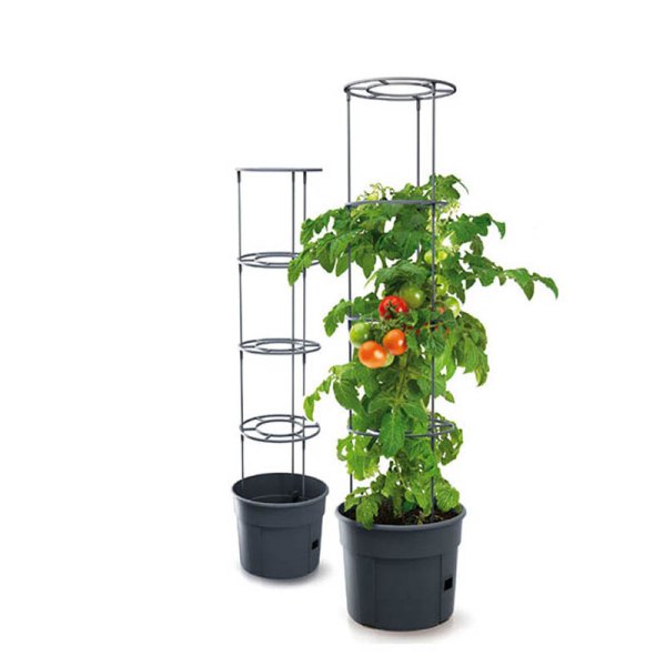 Γλάστρα Αναρριχώμενων Φυτών 16Lt (Φ29.5x23.6-115.2) Marhome Tomato Grower 09-IPOM300-S433