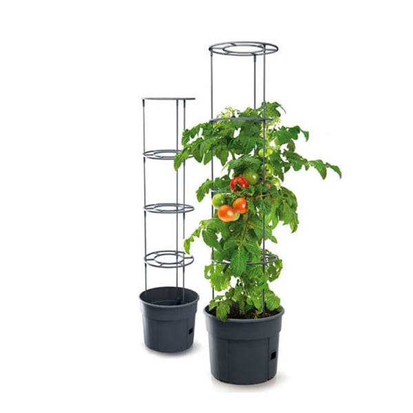 Γλάστρα Αναρριχώμενων Φυτών 38Lt (Φ39.2x31.5-153) Marhome Tomato Grower 09-IPOM400-S433