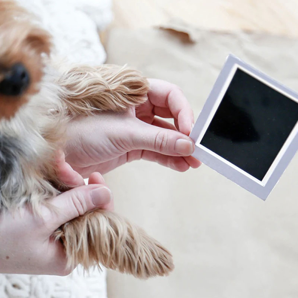 Αναμνηστική Κορνίζα Με Αποτύπωμα Για Κατοικίδια (29x16) Pearhead Pawprints PH-83017