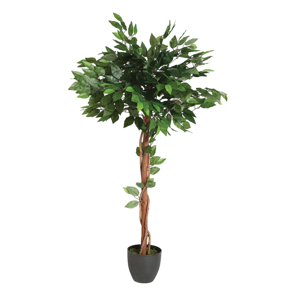 Διακοσμητικό Δέντρο Φίκος (77x77x130) A-S Ficus Pot 116275
