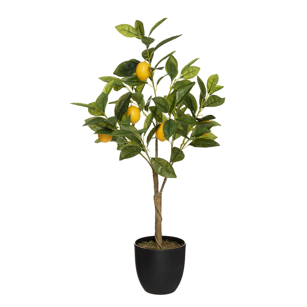 Διακοσμητικό Δέντρο Λεμονιά (43x43x33) A-S Lemon Tree 179314 237480