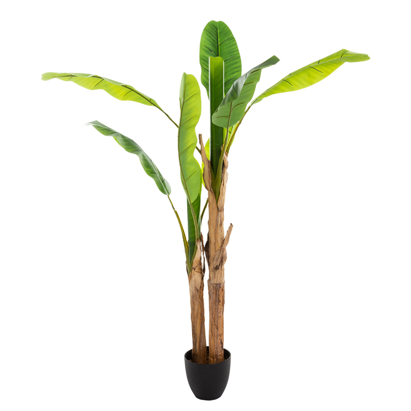Τεχνητό Δέντρο Μπανανιά (122x119x130) A-S Banana Pot 167300