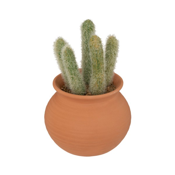 Τεχνητό Φυτό Σε Γλάστρα (17x8) A-S Cactus Pot A 189121