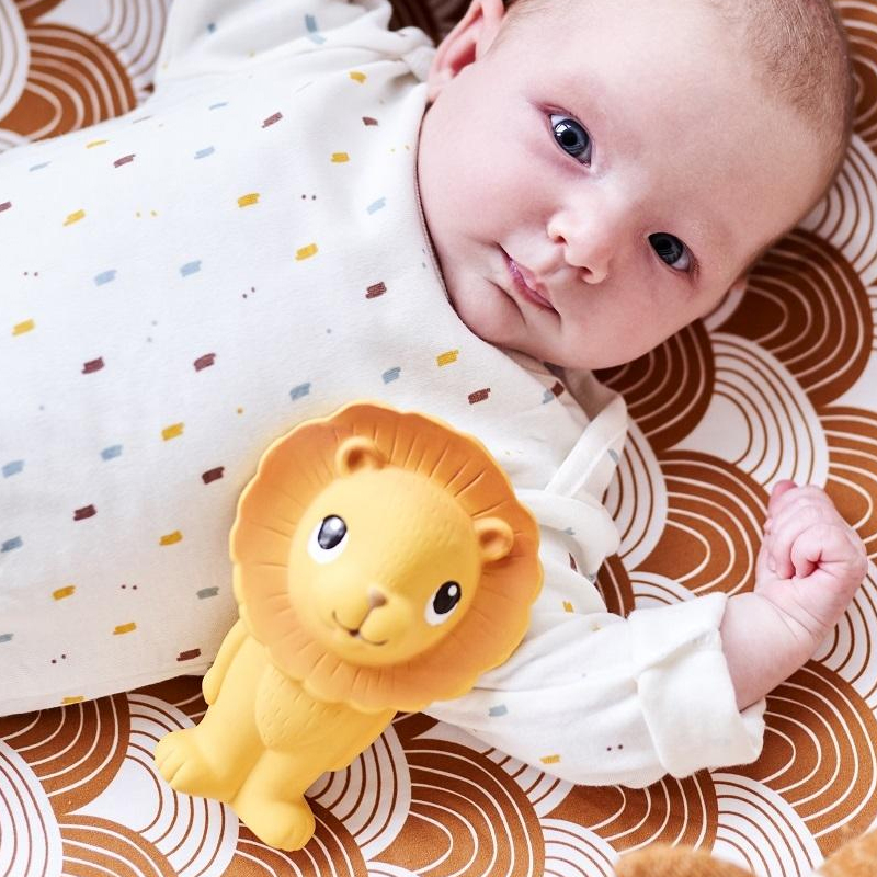 Μασητικό - Κουδουνίστρα Petit Monkey Λιονταράκι PTM-NRT3