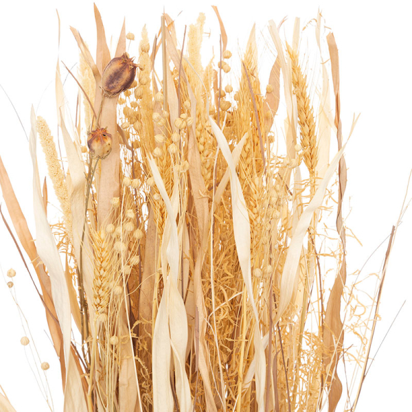 Αποξηραμένα Διακοσμητικά Κλαδιά 114εκ. A-S Lour 193818