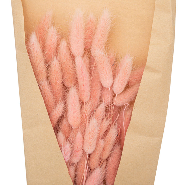 Αποξηραμένα Διακοσμητικά Κλαδιά 58εκ. A-S Bunny Tails Pink 189113C
