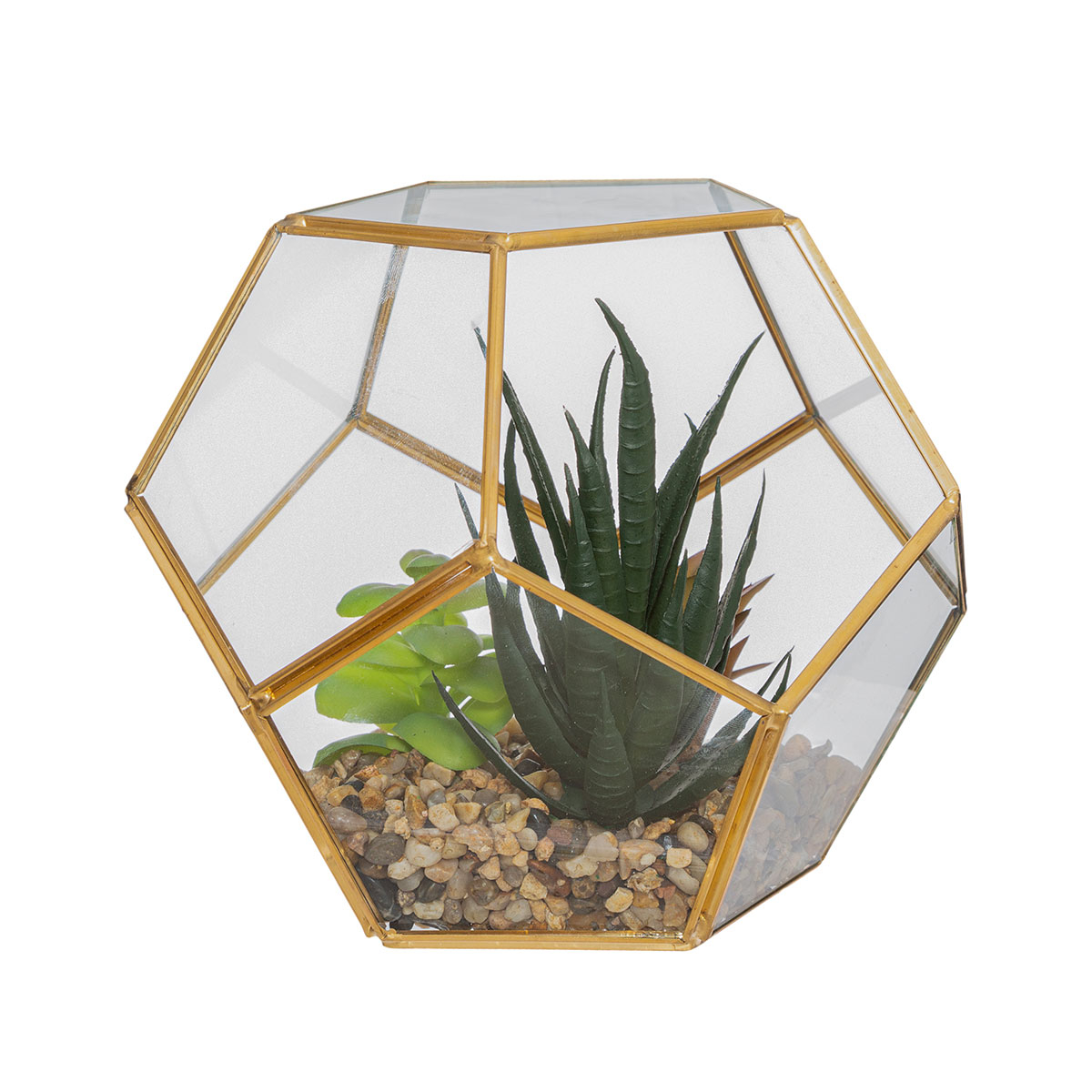 Διακοσμητικό Φυτό Σε Γυάλα (16x16x14) A-S Terrarium Glass 173033 244393