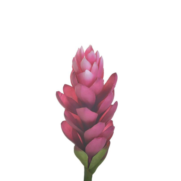 Τεχνητό Λουλούδι 100εκ. InArt 3-85-246-0284