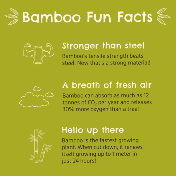 Πιάτο Bamboo Με Χωρίσματατα Munchkin Bamboo Divided Plate