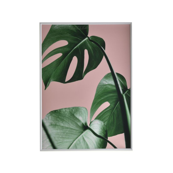 Πίνακας Με Κορνίζα (50x70) InArt Φυτό 3-90-763-0082