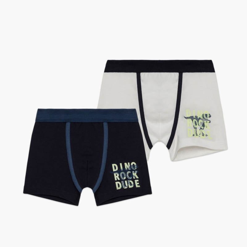 Μπόξερ Παιδικά (Σετ 2τμχ) Minervakia Dino Rock 42233-010