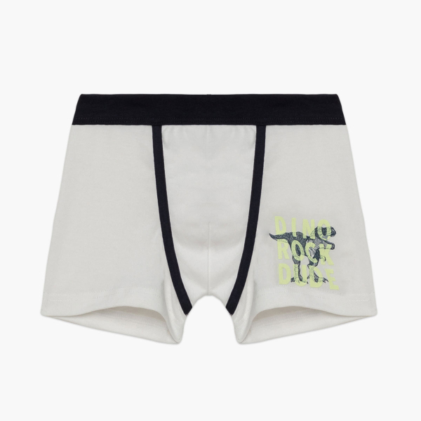 Μπόξερ Παιδικά (Σετ 2τμχ) Minervakia Dino Rock 42233-010