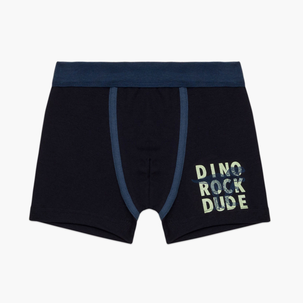 Μπόξερ Παιδικά (Σετ 2τμχ) Minervakia Dino Rock 42233-010