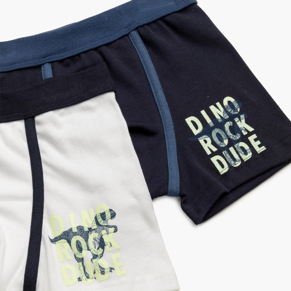 Μπόξερ Παιδικά (Σετ 2τμχ) Minervakia Dino Rock 42233-010