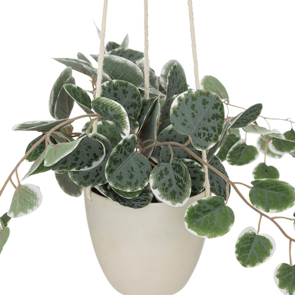 Τεχνητό Φυτό Σε Γλάστρα Κρεμαστό (25x15x80) A-S Lour 193710