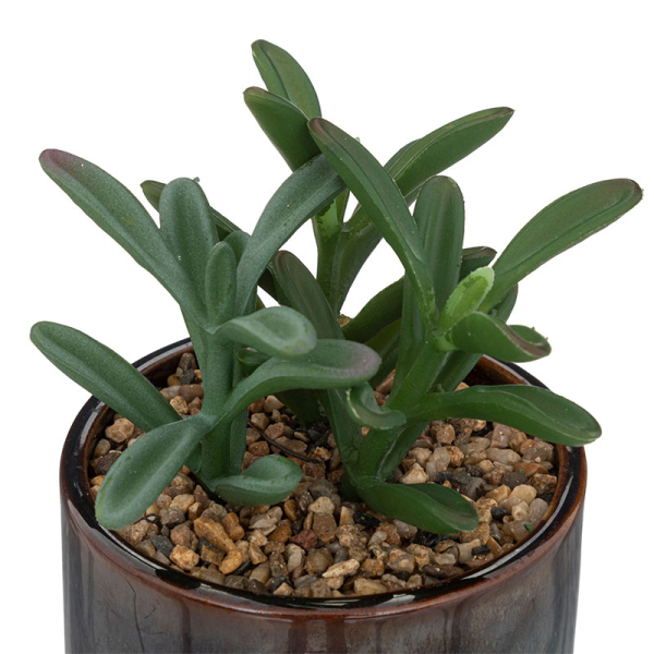 Τεχνητό Φυτό Σε Γλάστρα (Φ9.8x17) A-S Bota Black 193717B