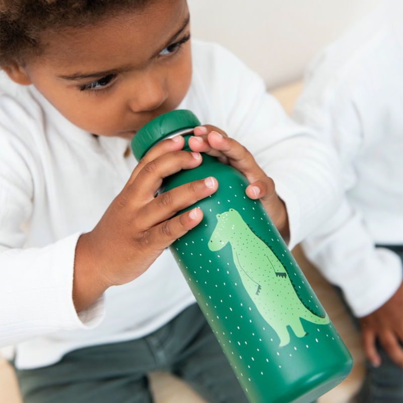 Παγούρι 500ml Με Στόμιο Trixie Crocodile