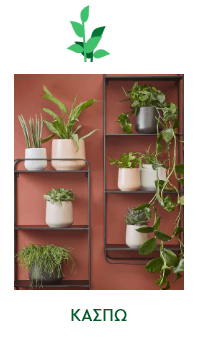 Κασπώ για τον κήπο - Spitishop.gr